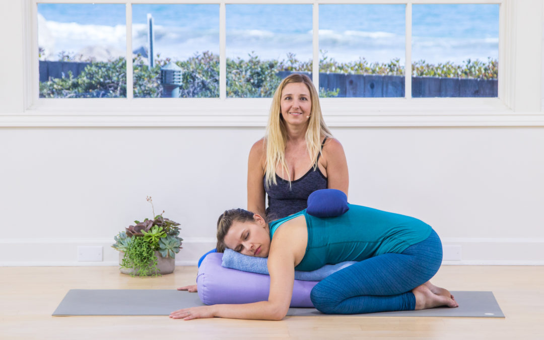 Mastering the Business of Yoga #1: Yoga and Biomechanics - Jules ...